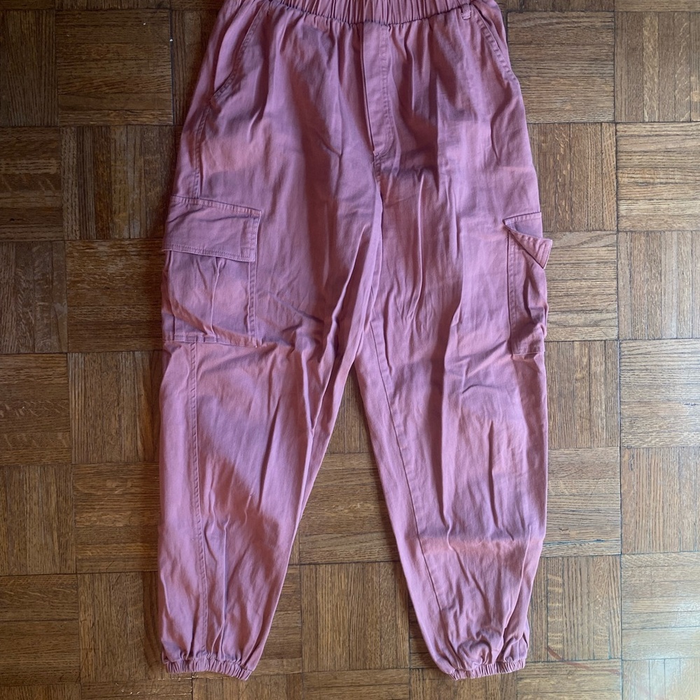 Wild Fable Mauve Cargo Joggers